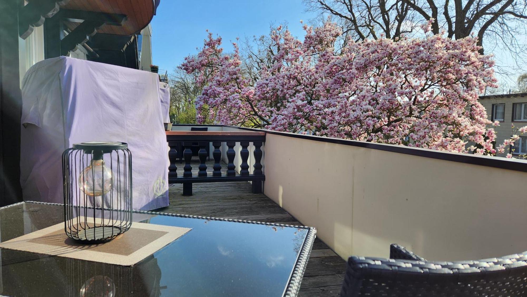 Villa am Park Bad Zwischenahn Dış mekan fotoğraf