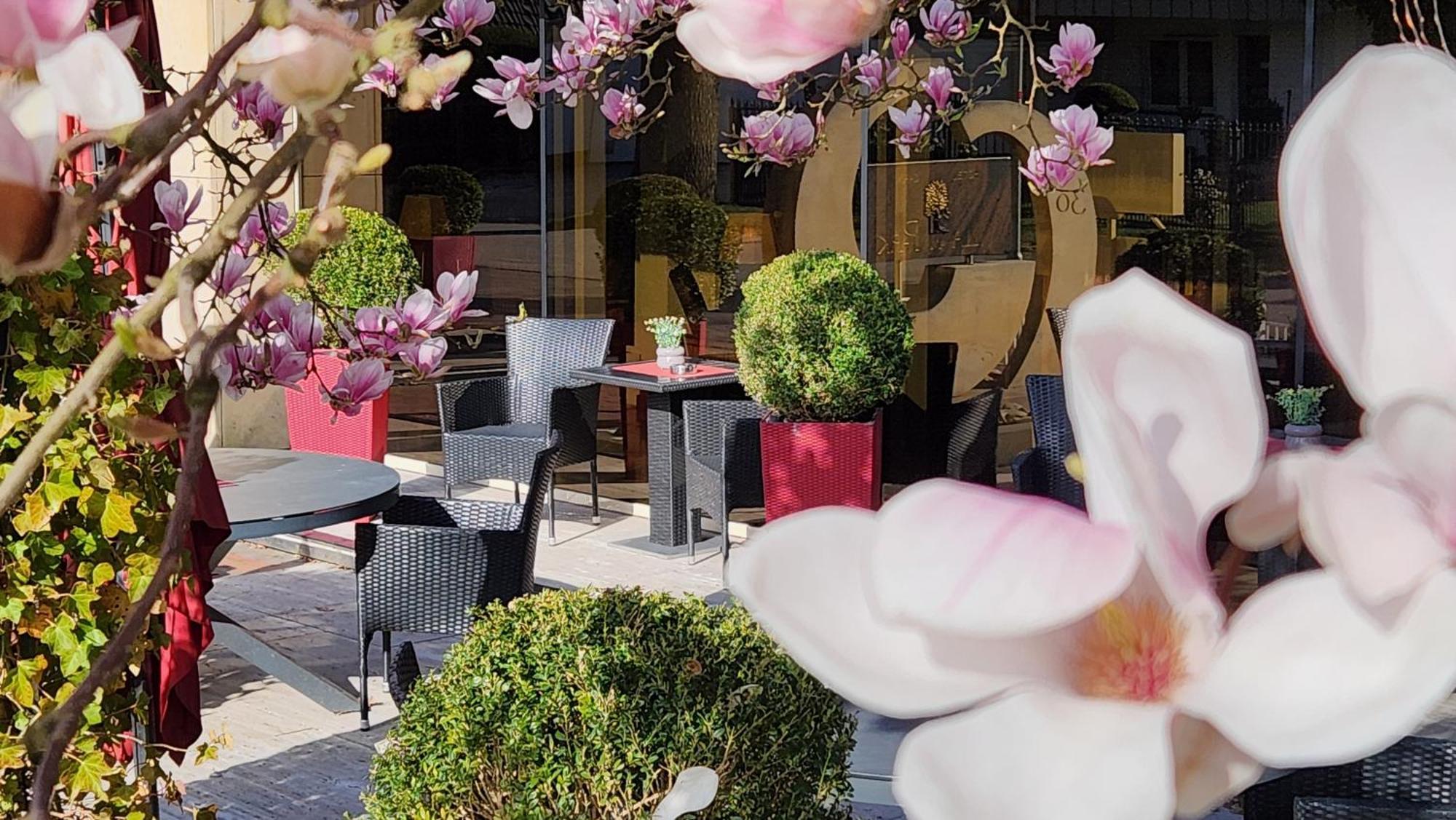 Villa am Park Bad Zwischenahn Dış mekan fotoğraf