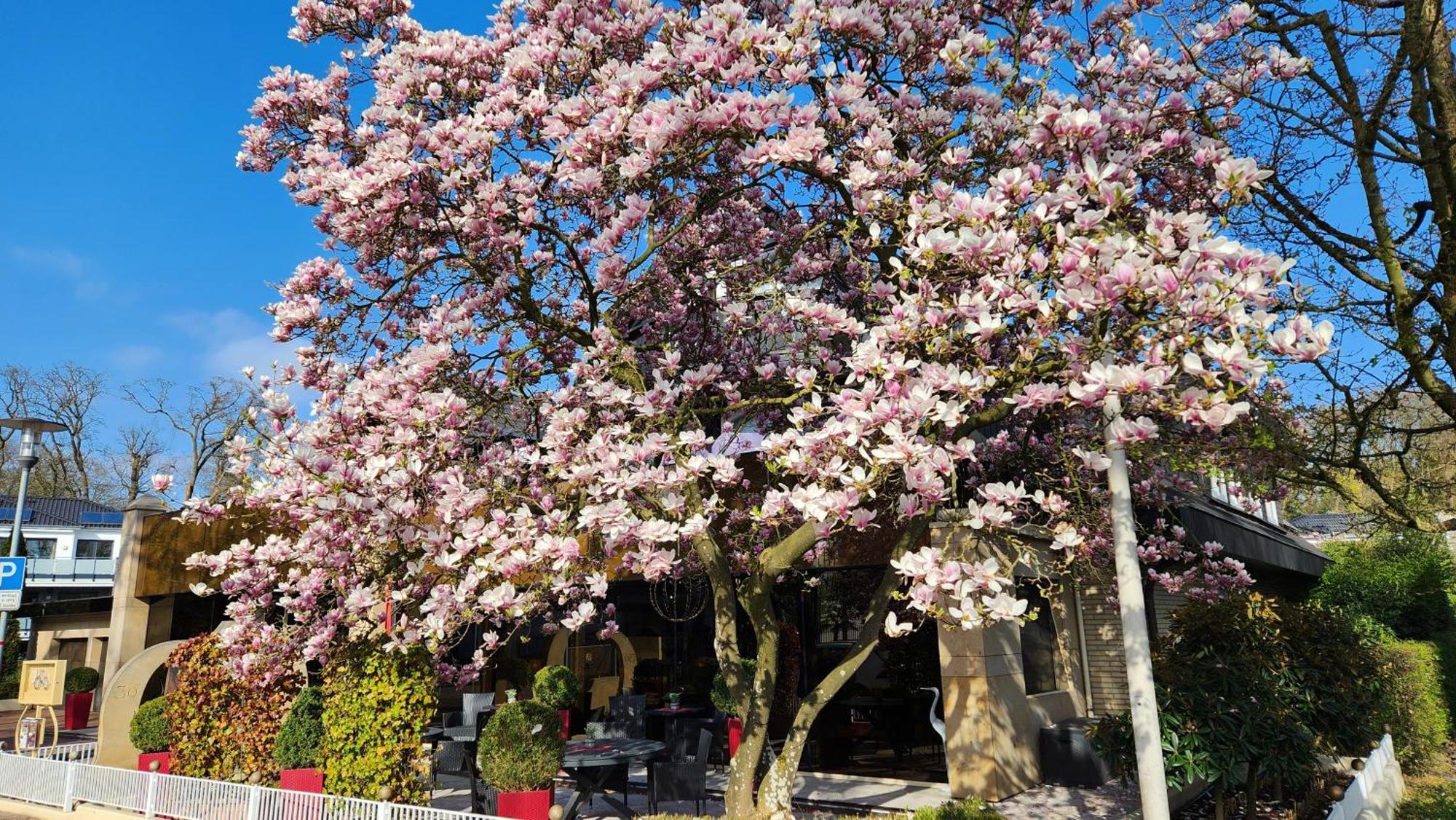Villa am Park Bad Zwischenahn Dış mekan fotoğraf